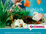 Kampagne Energieunternehmen Stawag
